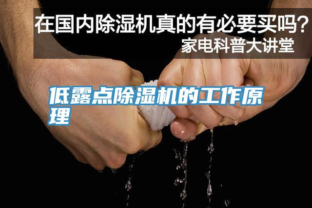 低露點小黄片软件免费下载的工作原理