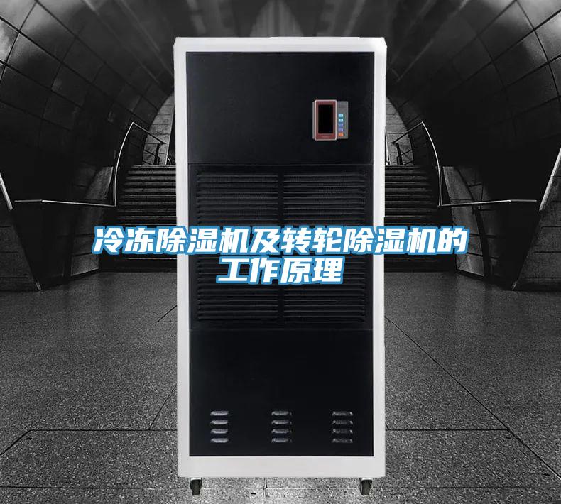 冷凍小黄片软件免费下载及轉輪小黄片软件免费下载的工作原理