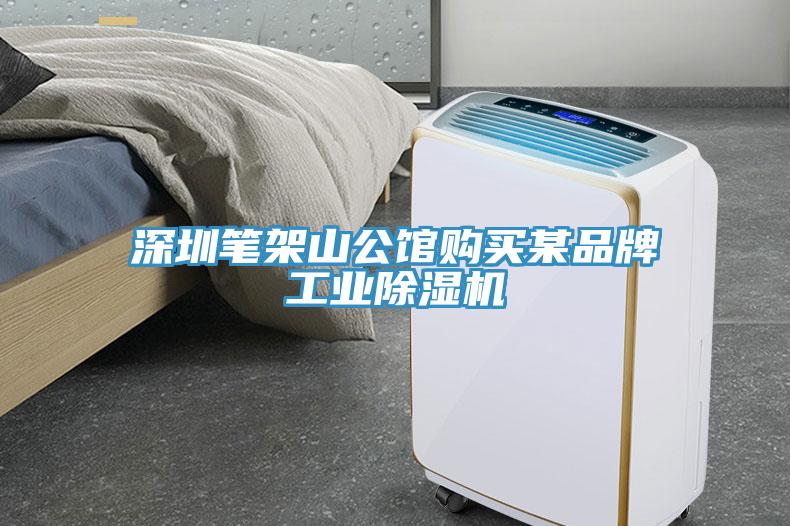 深圳筆架山公館購買某品牌工業小黄片软件免费下载