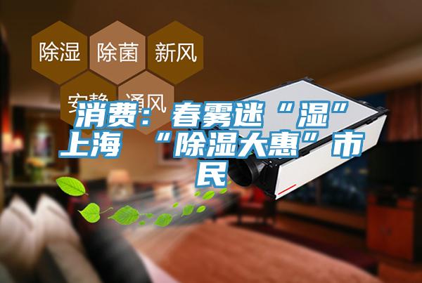 消費：春霧迷“濕”上海 “除濕大惠”市民
