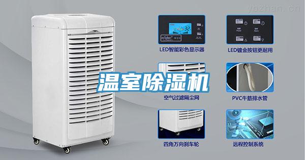 溫室小黄片软件免费下载